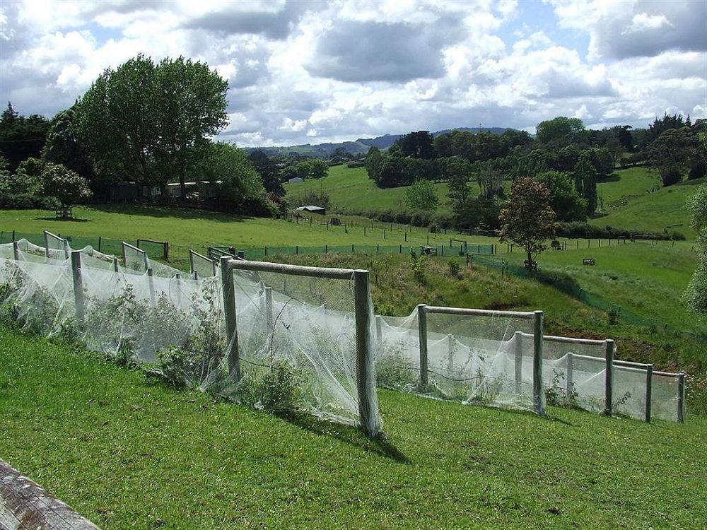 Runciman Berries And Emus B&B Ramarama Exterior foto