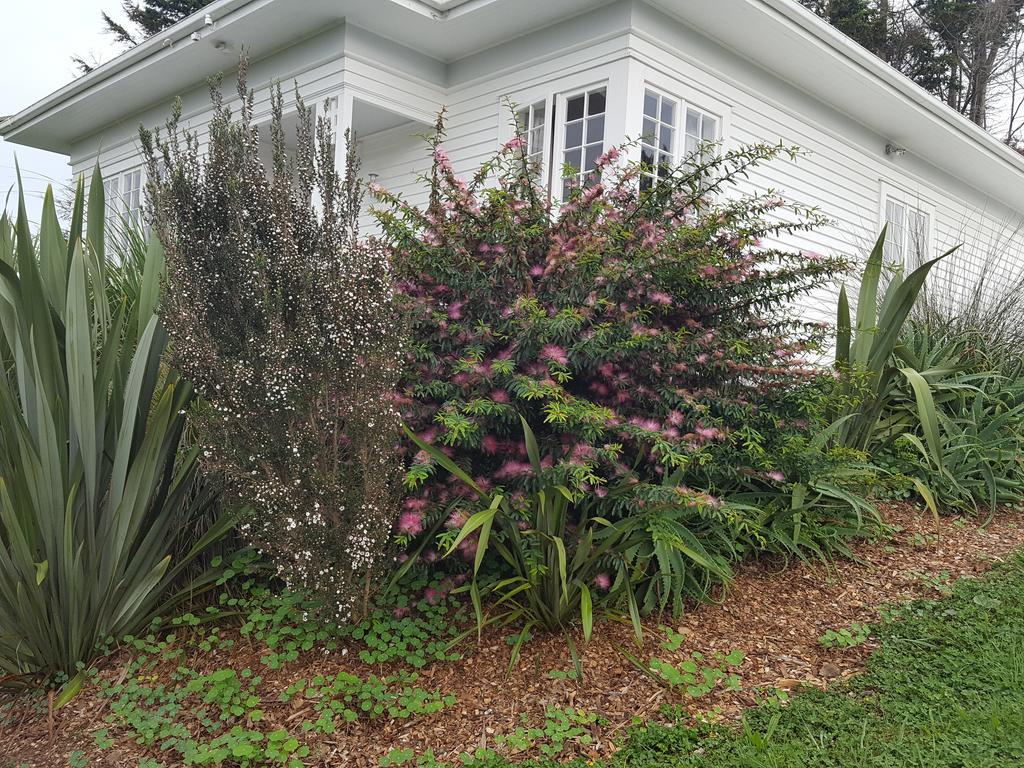 Runciman Berries And Emus B&B Ramarama Quarto foto