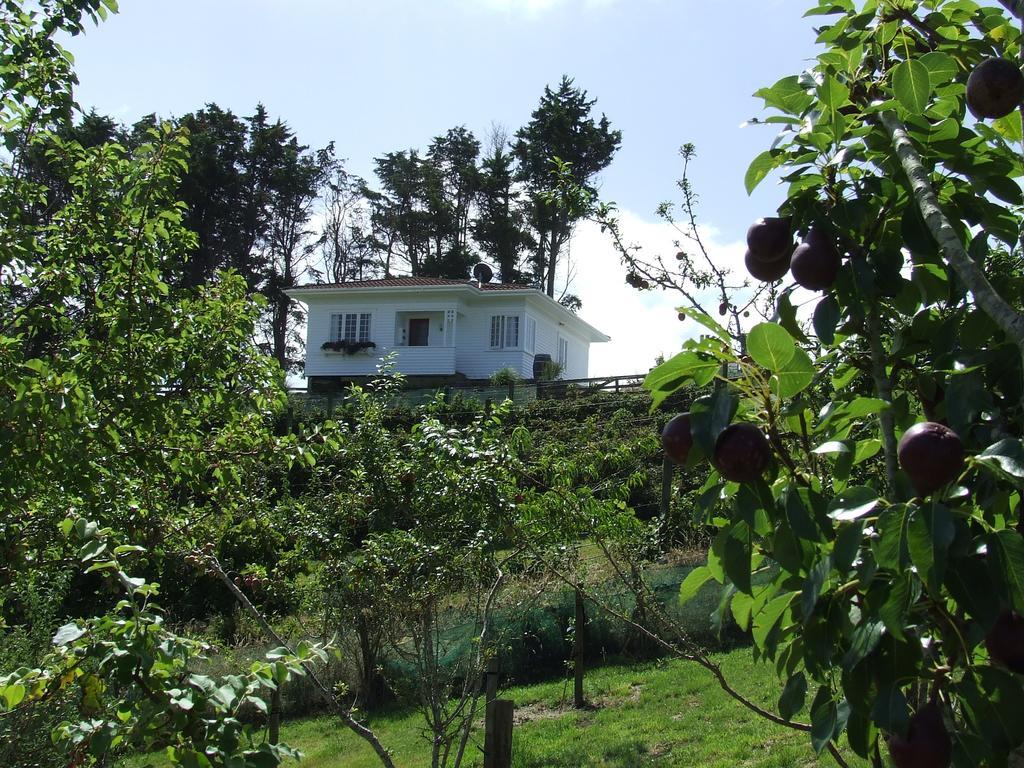Runciman Berries And Emus B&B Ramarama Exterior foto