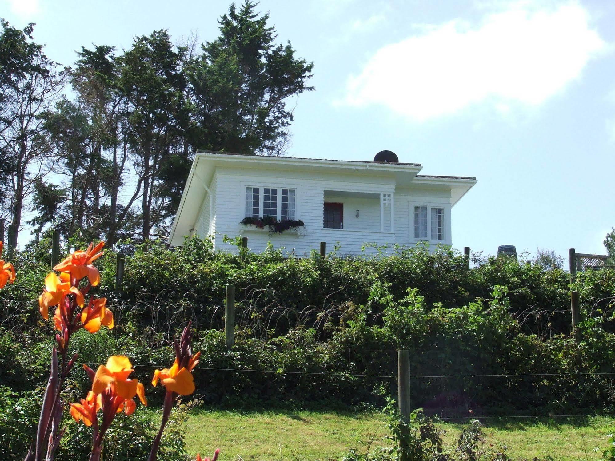 Runciman Berries And Emus B&B Ramarama Exterior foto