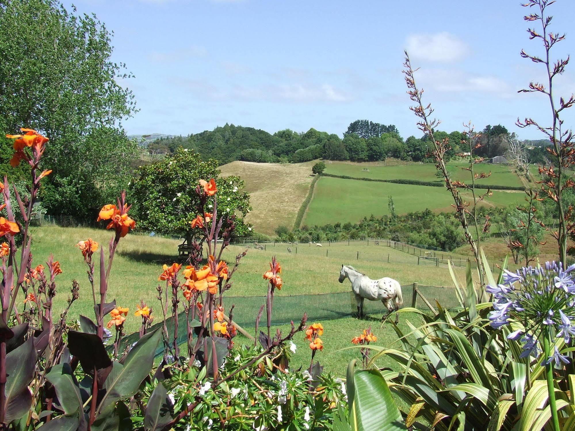 Runciman Berries And Emus B&B Ramarama Exterior foto