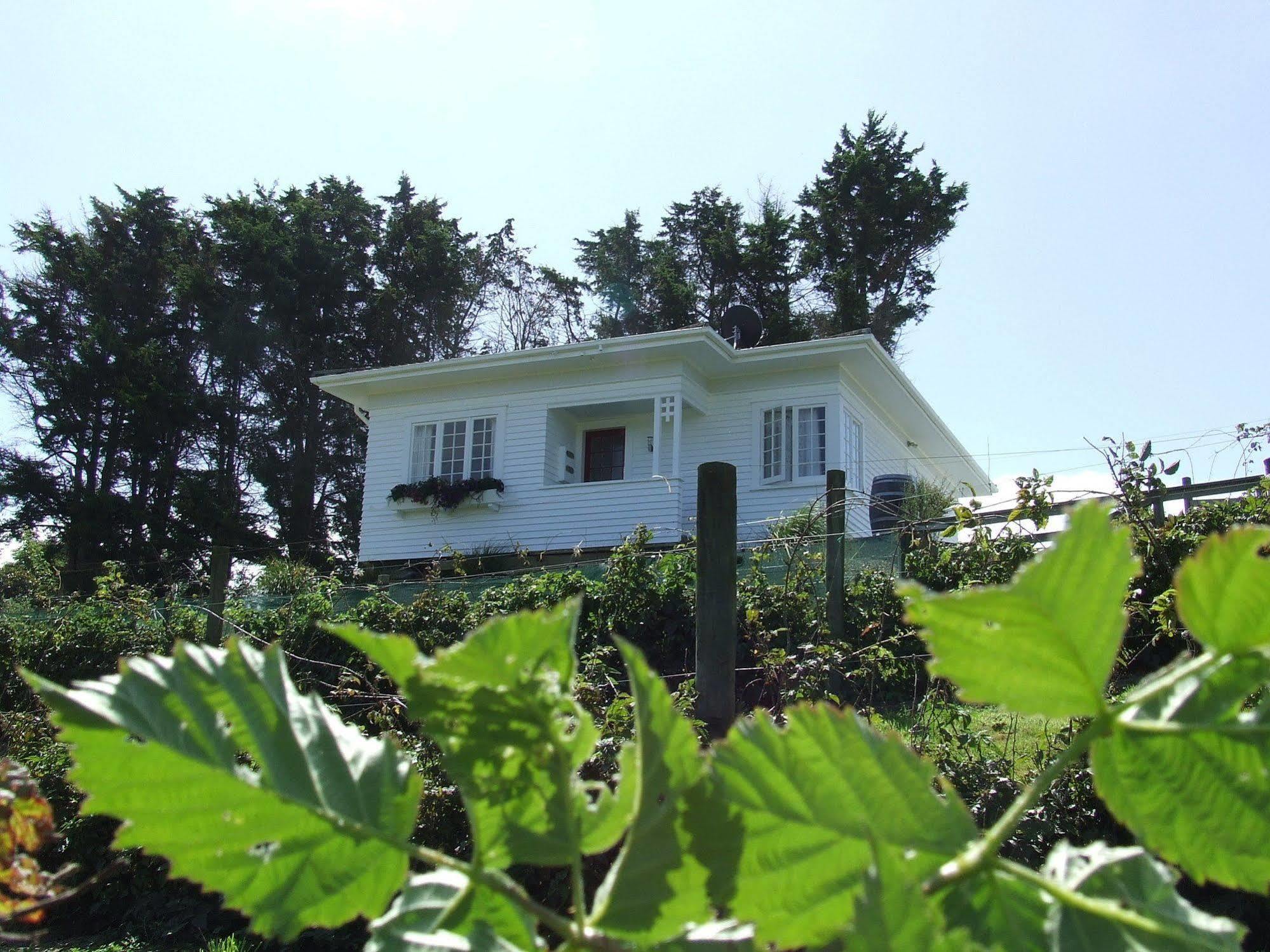 Runciman Berries And Emus B&B Ramarama Exterior foto
