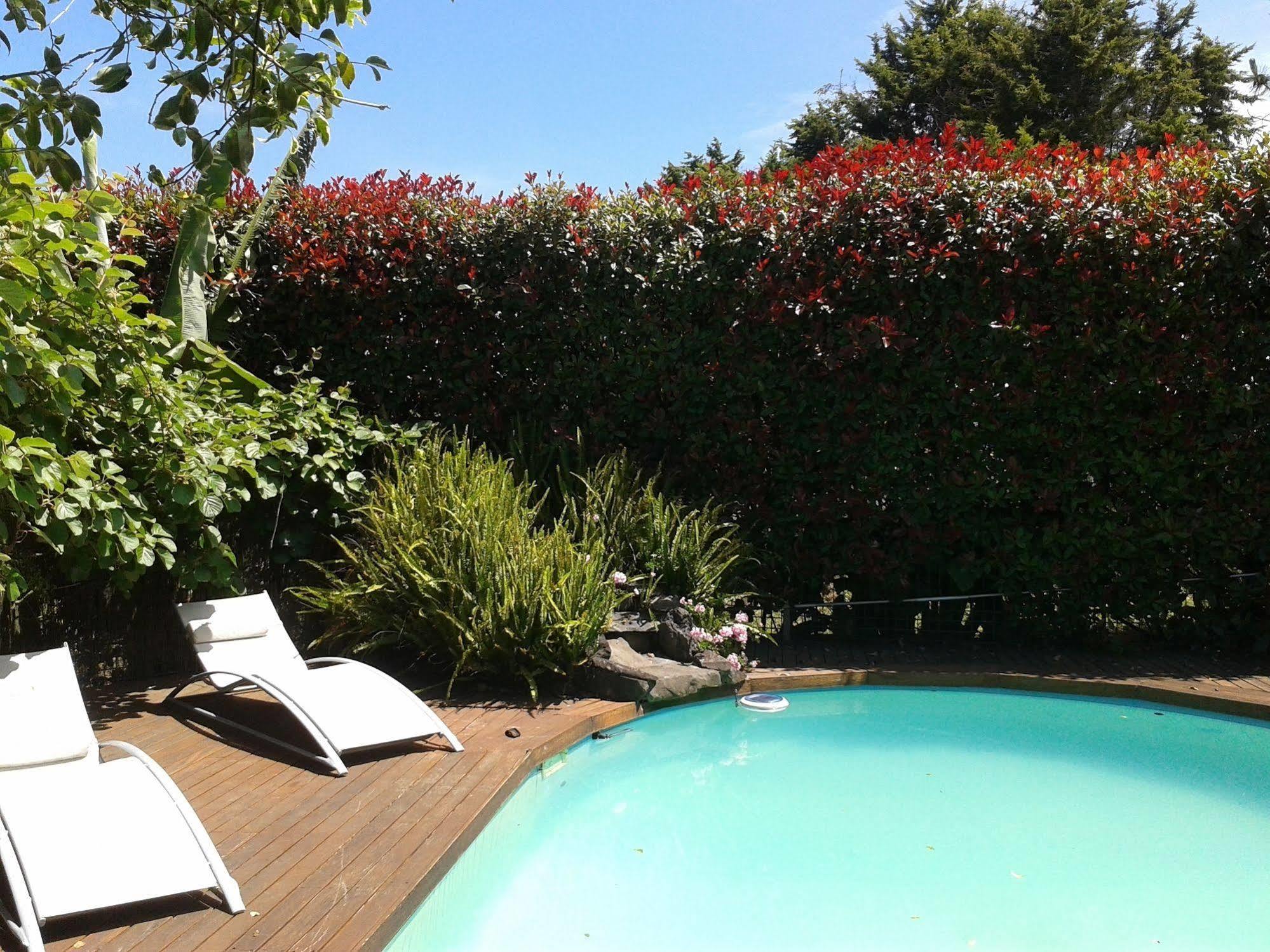 Runciman Berries And Emus B&B Ramarama Exterior foto